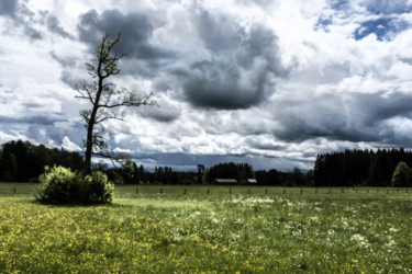 Температурные качели: в каких областях Украины жара сменится ливнями и холодом уже в эти выходные