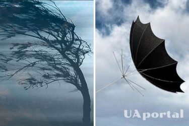 Сильний вітер та похолодання у низці областей: прогноз погоди в Україні на 29 липня