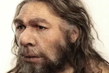 Не только мясо: ученым удалось узнать, из чего состоял рацион неандертальцев