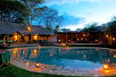 Звездные ночи в компании львов: необычный медовый месяц для романтиков в Кении