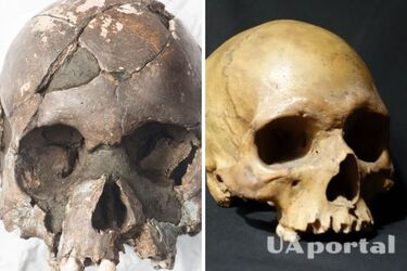 Археологи виявили в Мілані рештки людини, яка жила у 13 столітті: померла страшною смертю