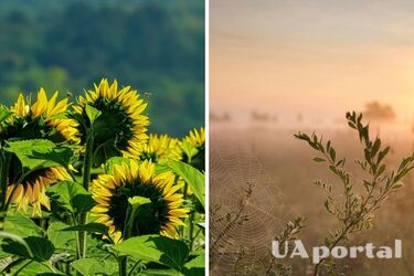 Похолодання та дощі: прогноз погоди в Україні на 5 липня