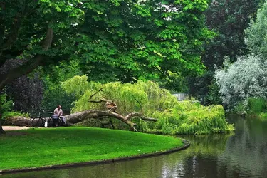 Найкращі парки та сади Амстердама: топ-10 природних пам’яток столиці