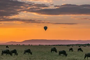 Африканське сафарі з обмеженим бюджетом: від Кенії до Ботсвани за розумною ціною