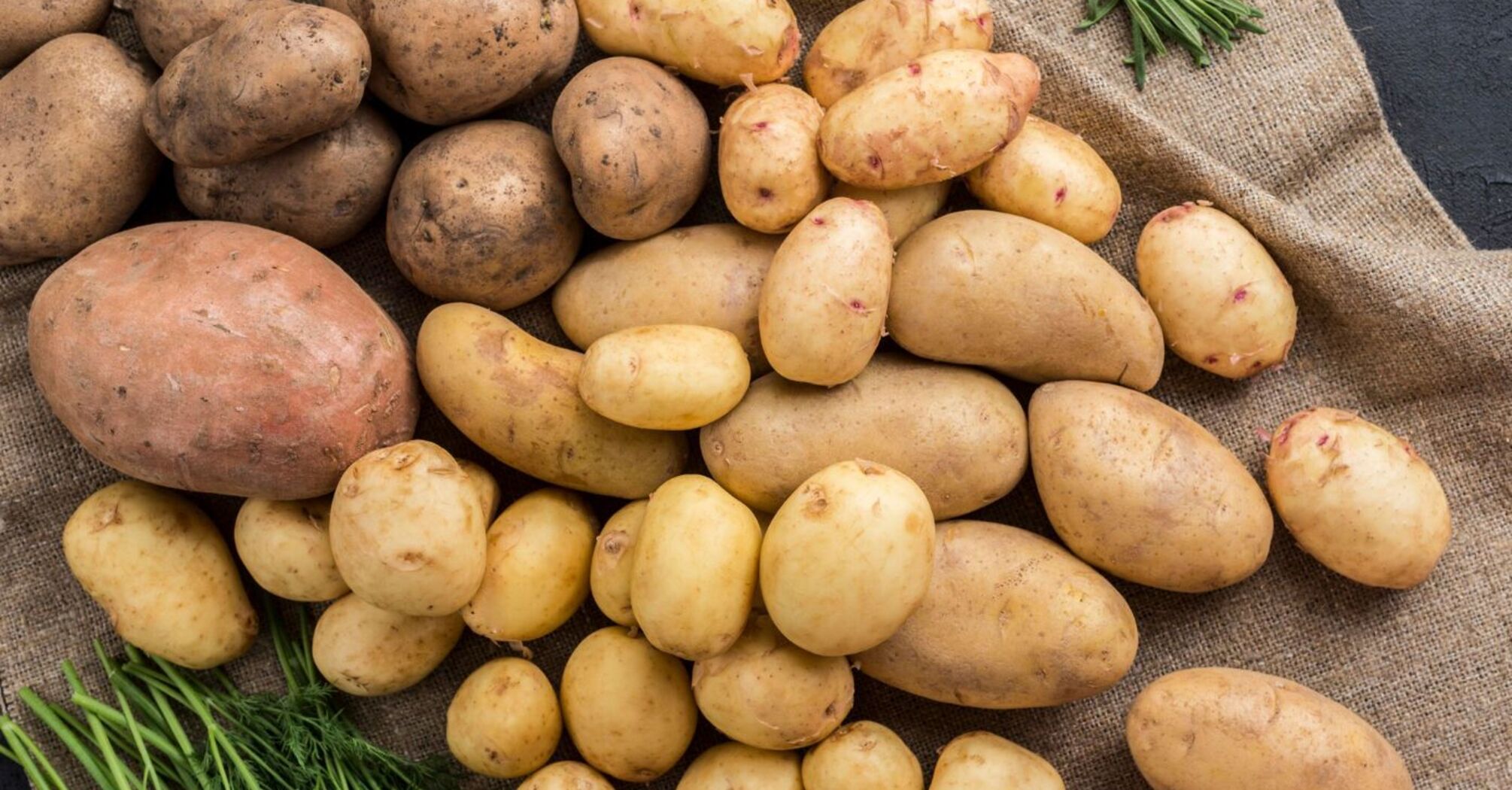 Ціни на популярний сезонний продукт українців впали на 40%: скільки тепер коштує