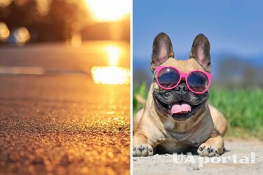 Ливневый дождь на территории страны и до 34 градусов тепла: прогноз погоды в Украине на 8 июля