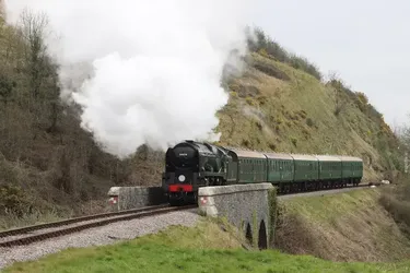 Подорожі паровими поїздами повертаються з новими маршрутами для дослідження природи та історії Британії цього літа