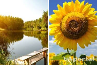 Часть территории Украины покроют грозовые дожди и шквальный ветер: прогноз погоды в Украине на 9 июля