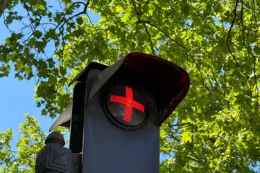 Українським водіям на замітку: що означає червоний плюс на світлофорі