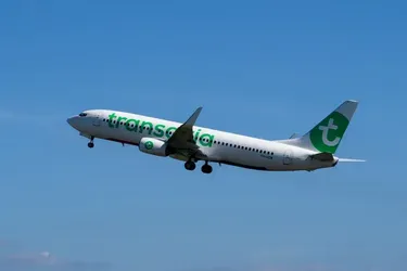 Transavia відкриває раннє бронювання популярних літніх маршрутів 2026 року
