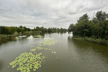 Погода на выходные: осадки маловероятны