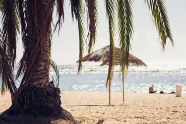 Топ-8 курортов с системой 'все включено' на островах Теркс и Кайкос. Найдите свой собственный багамский рай