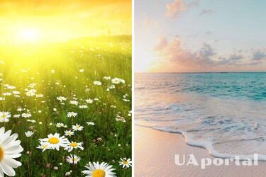 Прогноз погоды в Украине на 12 августа.