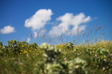 От +10 до +35 градусов: когда в Украину придет масштабный антициклон и какие регионы раскалятся больше всего