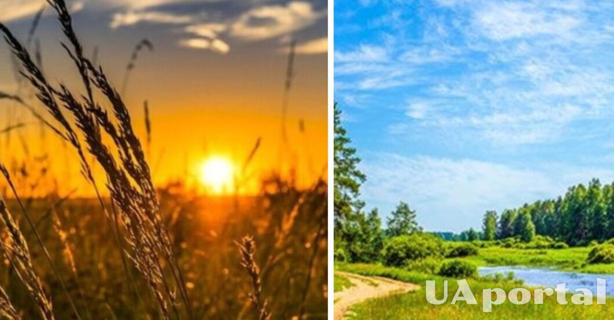Сухо и тепло, местами до 30 градусов тепла: прогноз погоды в Украине на 13 августа.