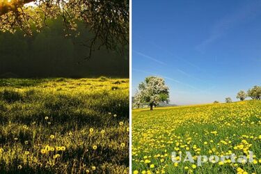 Сухо та сонячно: прогноз погоди в Україні на 14 серпня