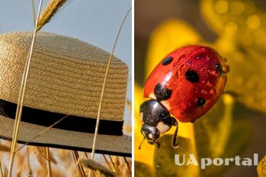 Сухо, переважно сонячно та до +30: прогноз погоди в Україні на 15 серпня