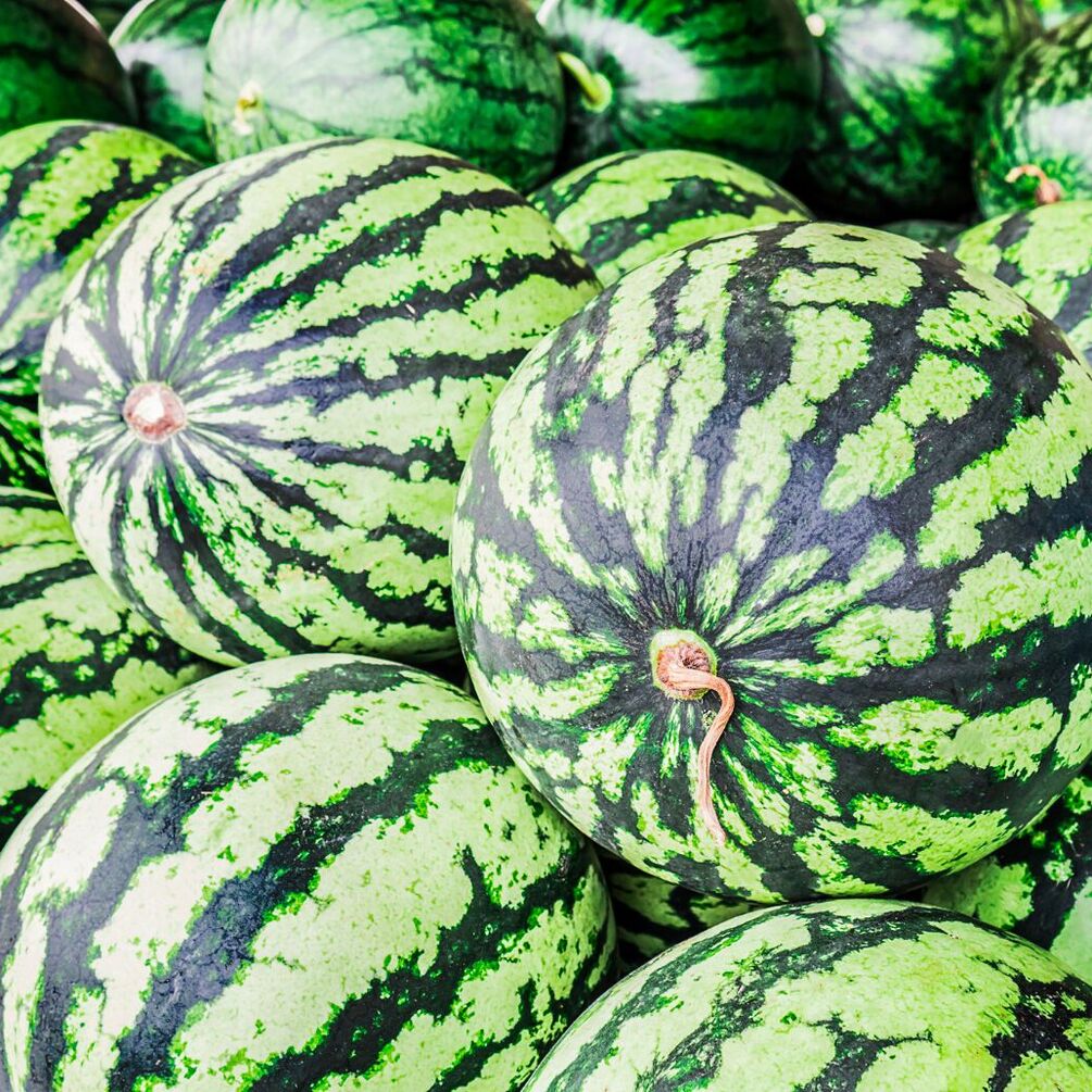 Арбузы стремительно дешевеют: какие цены на полосатую ягоду в Украине сейчас