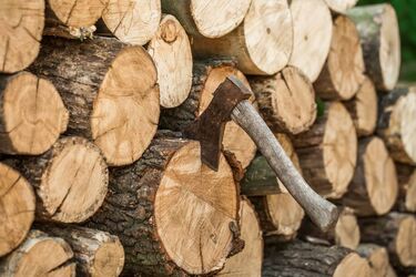 Украинцам раздадут почти по 20 000 грн на дрова: кто сможет получить помощь