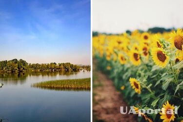 Сонячно та сухо по усій території України: прогноз погоди в Україні на 19 серпня