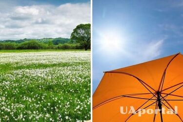 Суха та тепла погода зберігається: прогноз погоди в Україні на 20 серпня