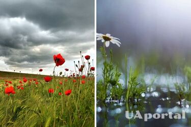 Самый холодный день лета: прогноз погоды в Украине на 26 августа