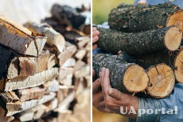 Підготовка до зими: чи законно збирати дрова для опалення у лісі