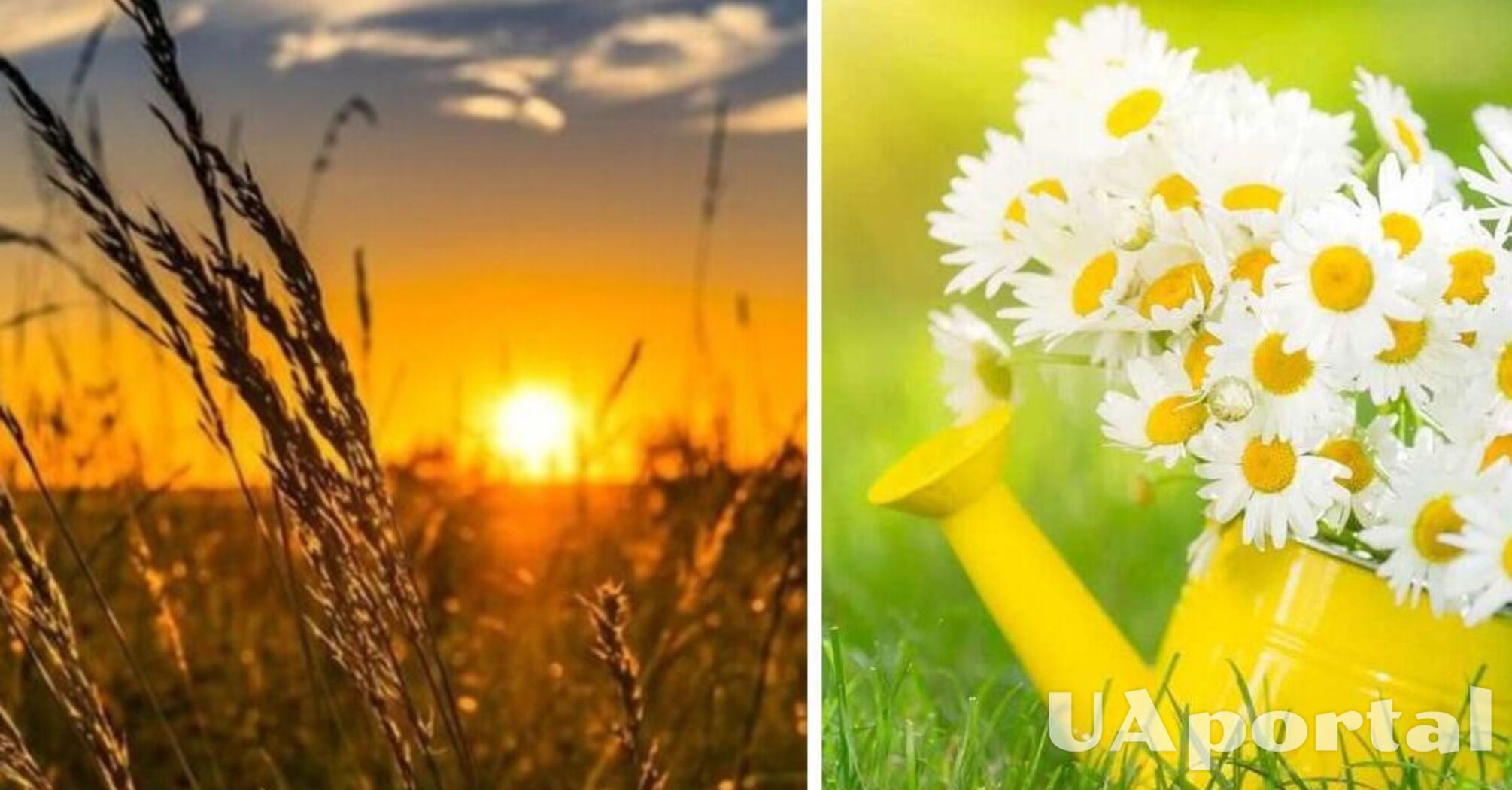В Україні пануватиме тепла погода: прогноз на 27 серпня