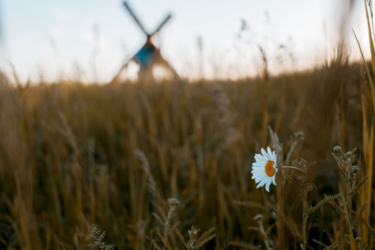 Від зимового холоду до +33: синоптики попередили про різку зміну погоди в Україні