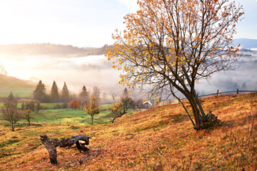 Холод та перші заморозки: кліматологиня шокувала прогнозом погоди на вересень