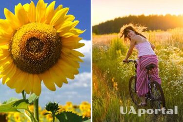 Сухо та тепло: прогноз погоди в Україні на 28 серпня