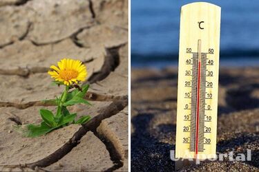 Солнечно, сухо и жарко: прогноз погоды в Украине на 29 августа