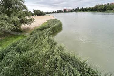 Где ожидаются дожди с грозами: прогноз погоды в Украине