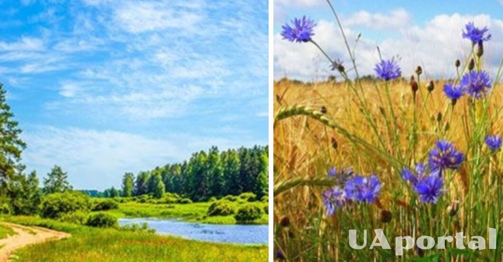Сухо та сонячно: прогноз погоди в Україні на 5 серпня 