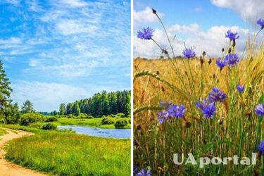 Сухо и солнечно: прогноз погоды в Украине на 5 августа