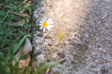 Заморозки посреди лета? Стоит ли украинцам ждать резкого понижения температуры в августе?