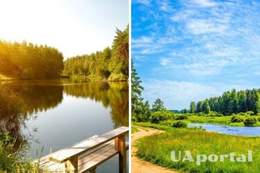 Майже всюди без опадів: прогноз погоди в Україні на 7 серпня