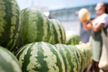 Кавуни стрімко дешевшають: коли купувати і як не прогадати з вибором