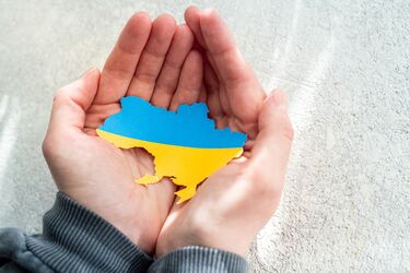 Перемога України не полягає у вигнанні російських військ?