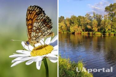 Дожди отступают: прогноз погоды в Украине на 2 сентября