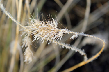 Вересневі сюрпризи від погоди: коли очікувати на різке зниження температури та заморозки