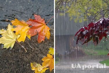 Местами ожидаются сильные дожди: прогноз погоды в Украине на 11 сентября.