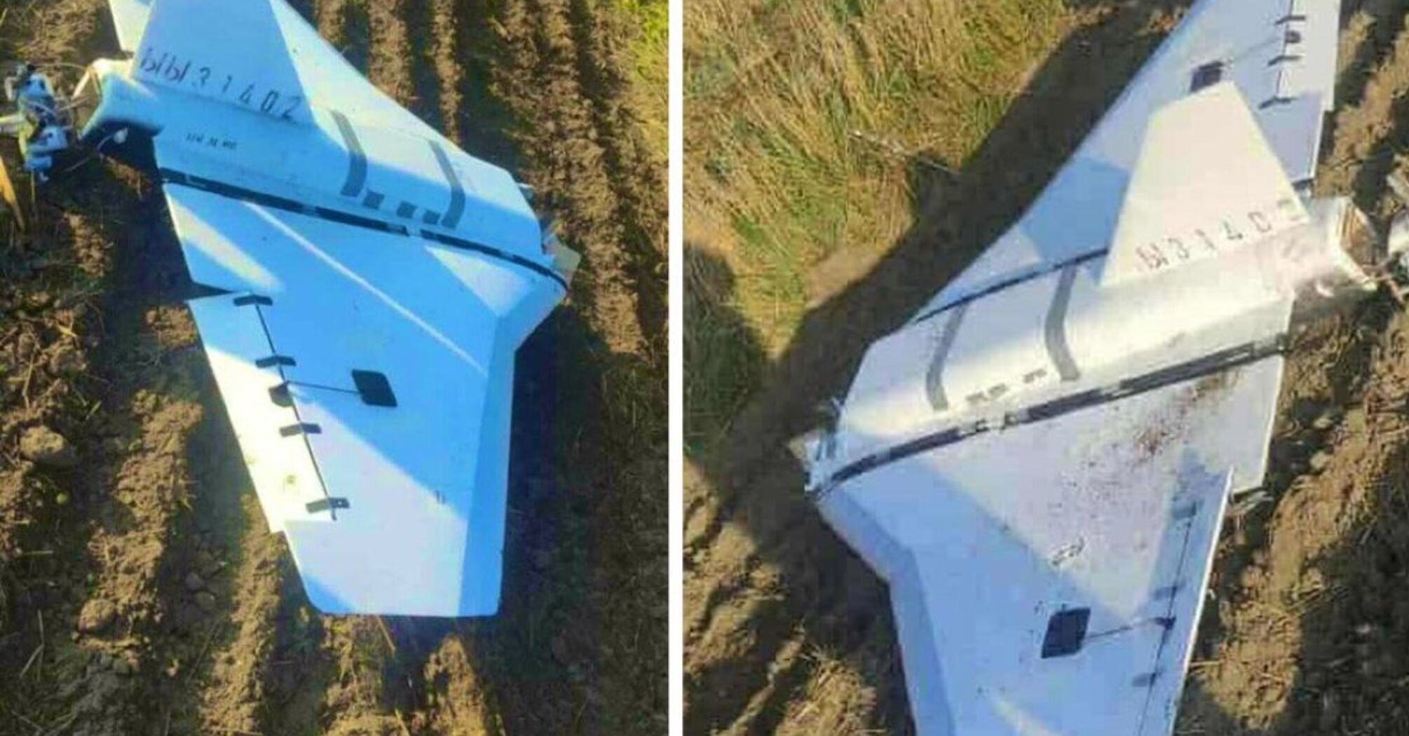 Чем Украина будет помогать Польше?