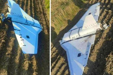 Чем Украина будет помогать Польше?