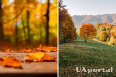 В большинстве областей без осадков: прогноз погоды в Украине на 16 сентября