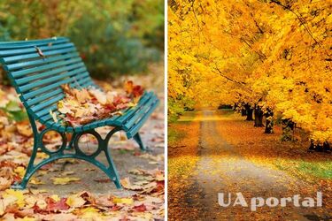 Від 15 до 26 градусів тепла: прогноз погоди в Україні на 17 вересня