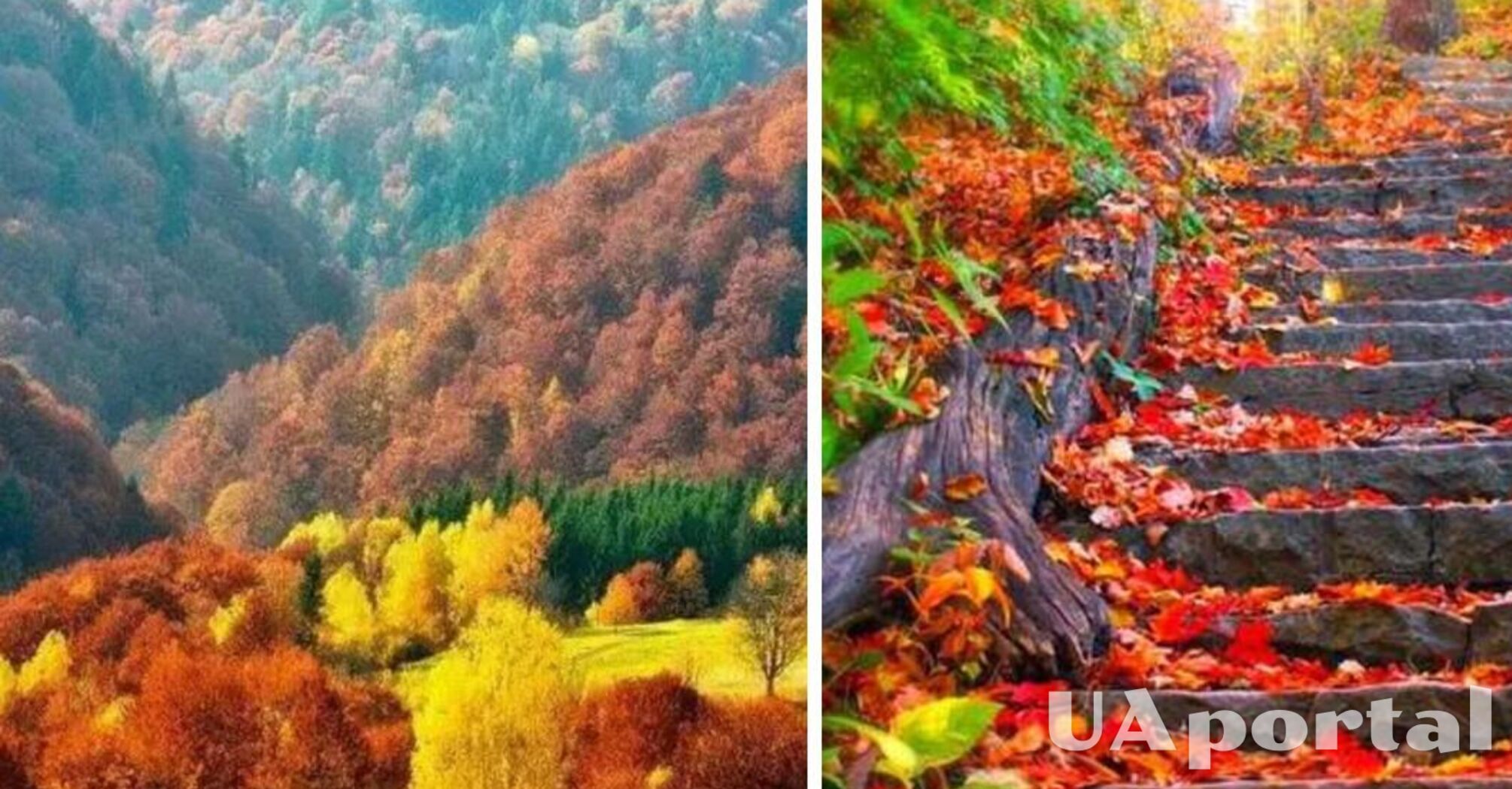 Очікується похолодання: прогноз погоди в Україні на 18 вересня 
