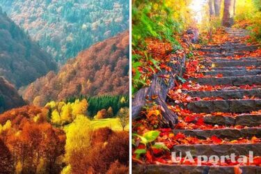 Очікується похолодання: прогноз погоди в Україні на 18 вересня