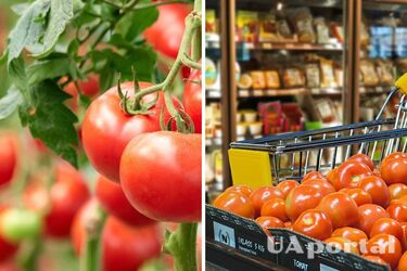 До 55 гривен за килограмм: в Украине стремительно дорожает популярный овощ