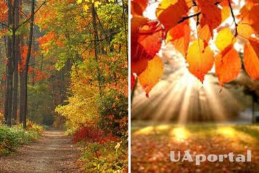 Гроза и до 28 градусов тепла: прогноз погоды в Украине